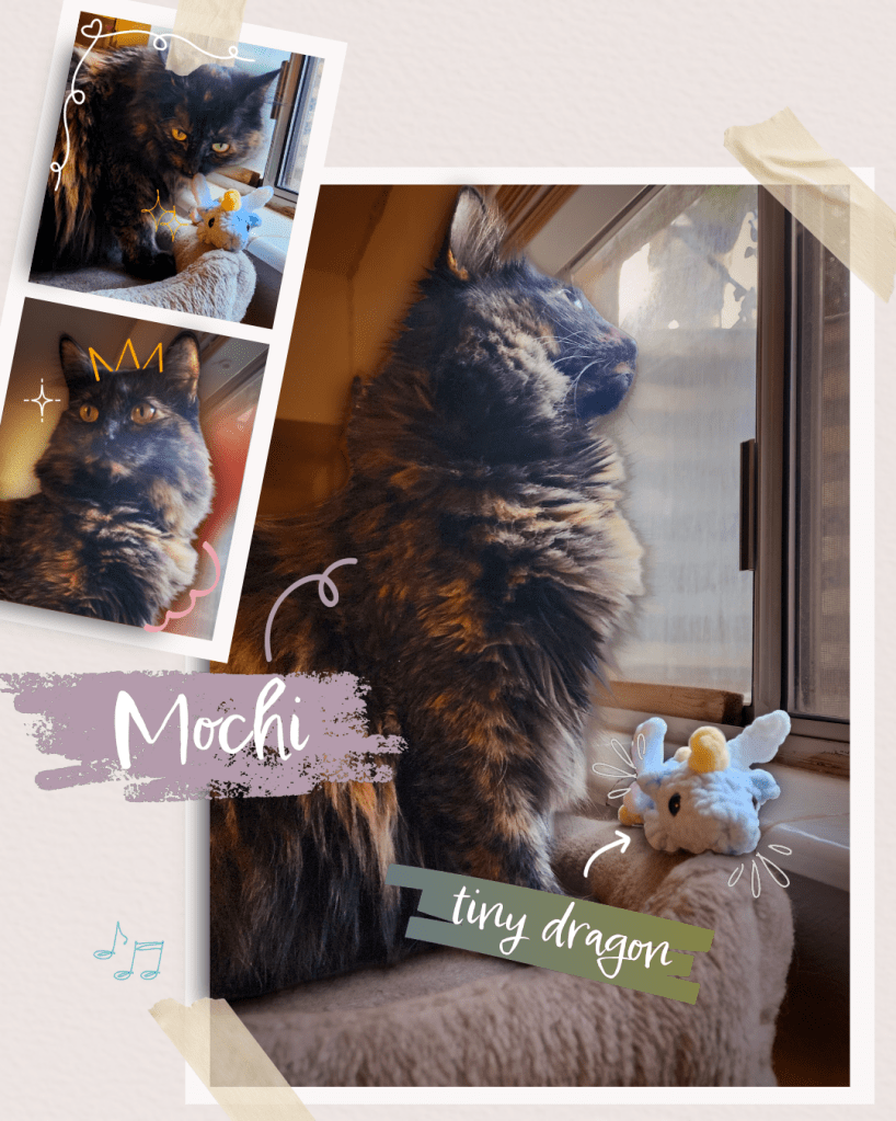 A tortie cat on a cat tree with an mini amigurumi crochet dragon